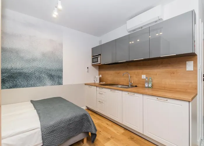 Mierzeja - Park Studio, 500 M Od Plazy, Bezplatny Meleks Apartman *