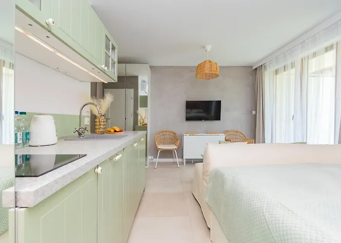 Mierzeja - Park Studio, 500 M Od Plazy, Bezplatny Meleks Apartman *